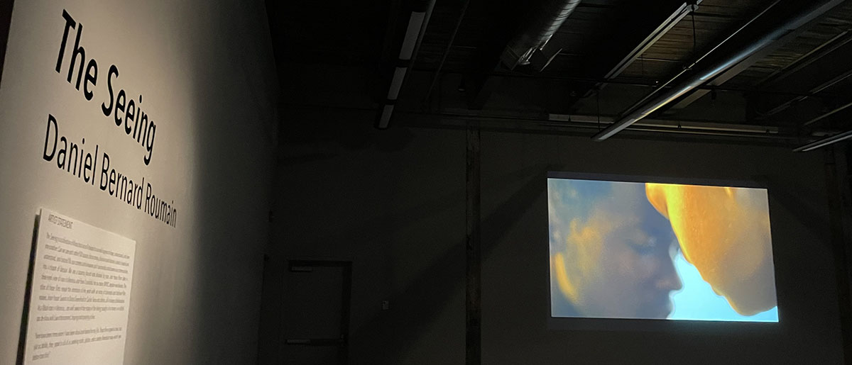 The Seeing: a video exhibition scored by Daniel Bernard Roumain. Photograph by Laura Duclos.