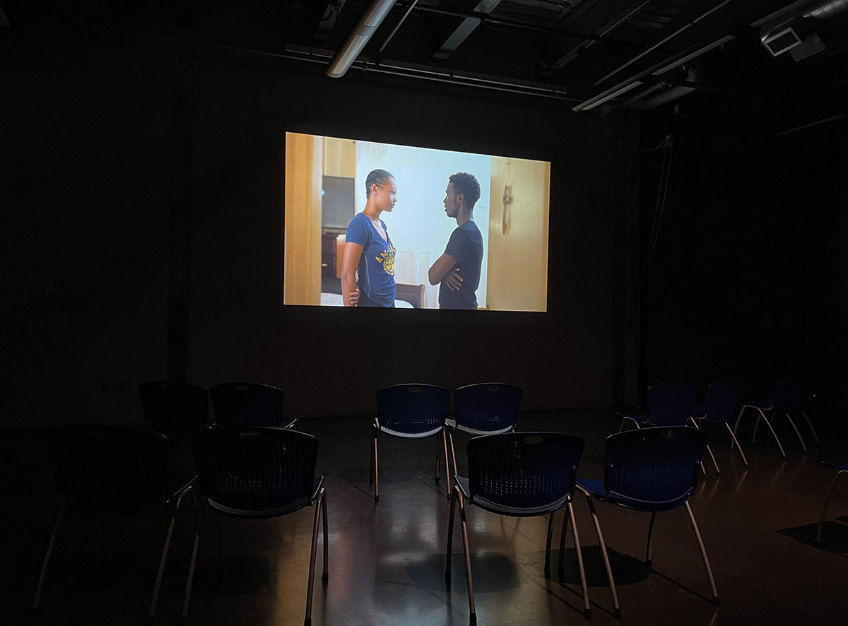 The Seeing: a video exhibition scored by Daniel Bernard Roumain