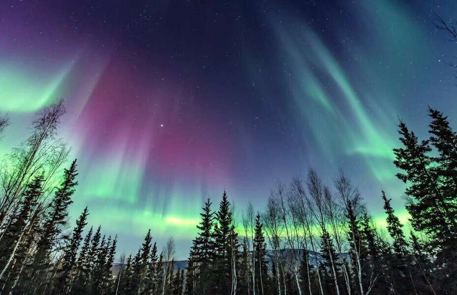 northern-lights-aurora-borealis-fairbanks-alaska-010101010